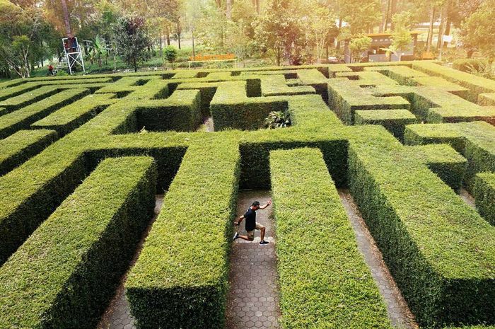 Dian Hanifudin Subhi :: Micro Teaching